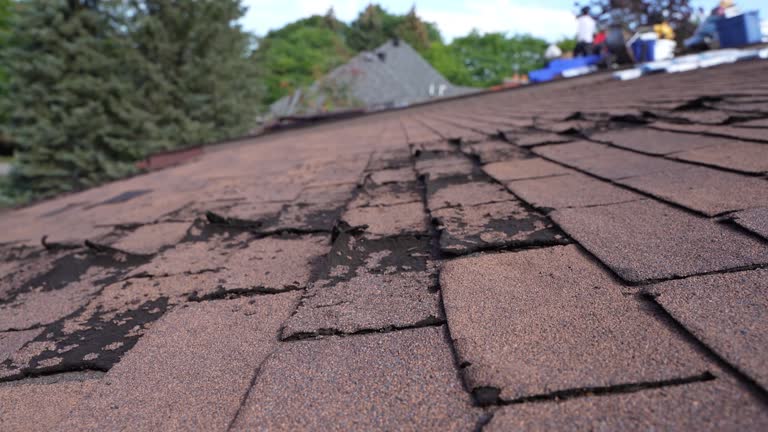 Best Chimney Flashing Repair  in Dix Hills, NY