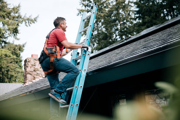 Best Skylight Installation and Repair  in Dix Hills, NY